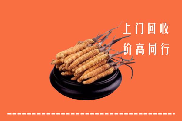 高价求购：南京市玄武区回收散虫草