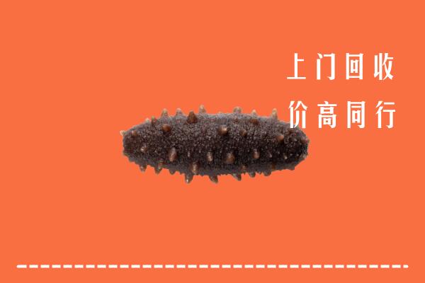 高价求购：南京市玄武区回收海参