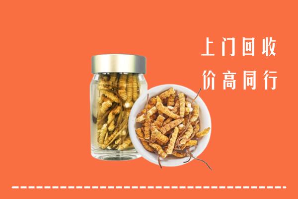 收购行情：南京市玄武区回收冬虫夏草