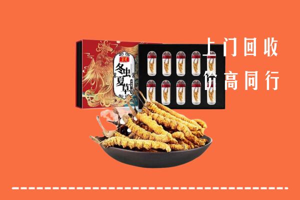 收购行情：南京市玄武区回收虫草
